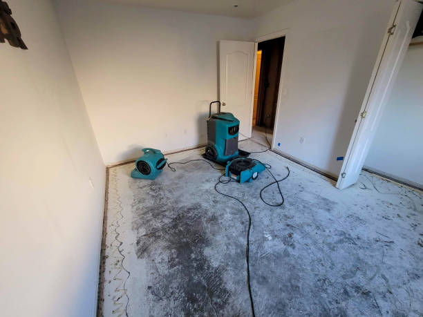 Best Professional water damage repair  in Grant Park, IL