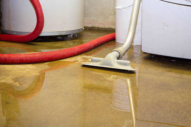 Best Water damage cleanup near me  in Grant Park, IL