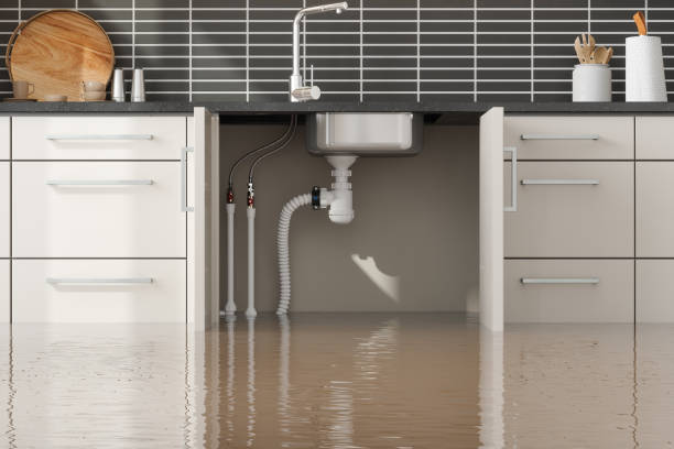 Best Mold removal after water damage  in Grant Park, IL
