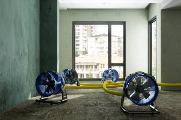 Best Ceiling water damage repair  in Grant Park, IL