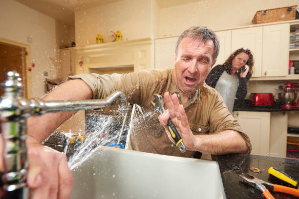 Best Emergency water extraction  in Grant Park, IL